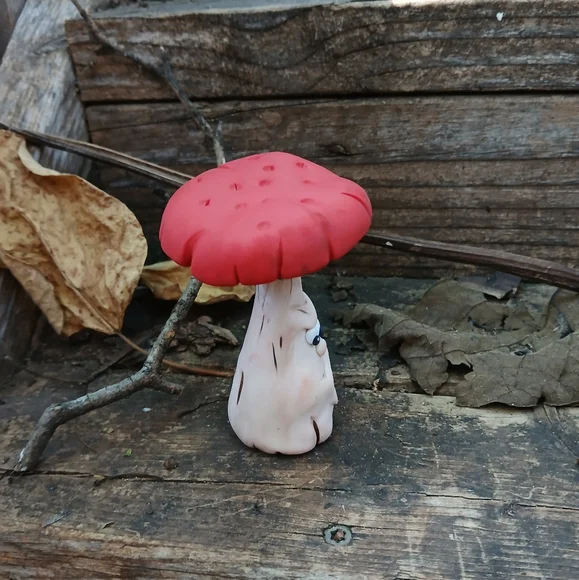 🧡🤎Mushroom Face 🥀🌸 Funny 🍄🟫🍄 - Picture 3 of 7